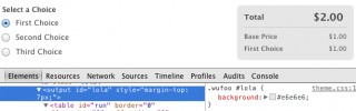 Customize Your Form With CSS: Examples! | Wufoo