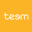 Teem logo