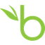 BambooHR logo